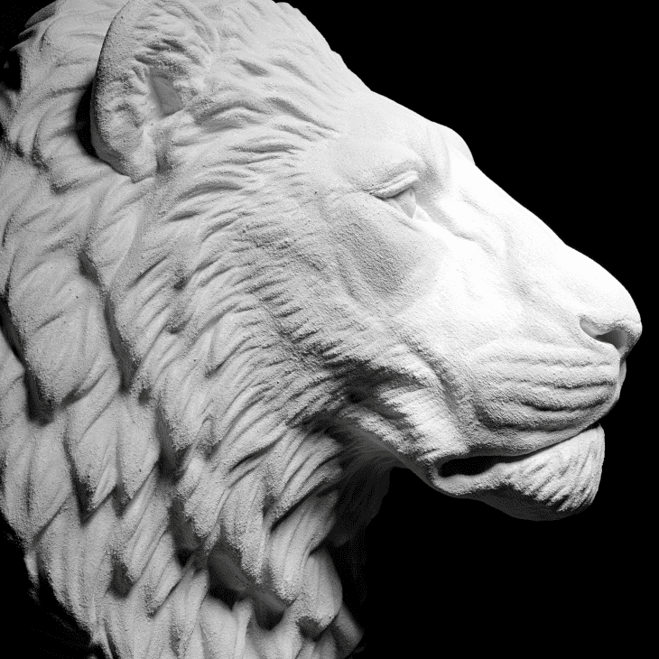 Georgia Rose Wall Art