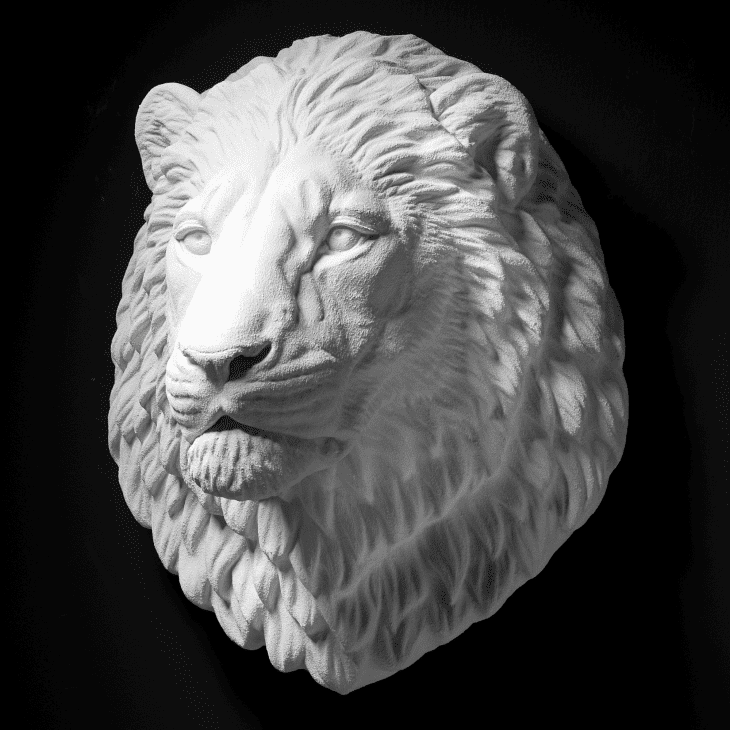 White Lion Head